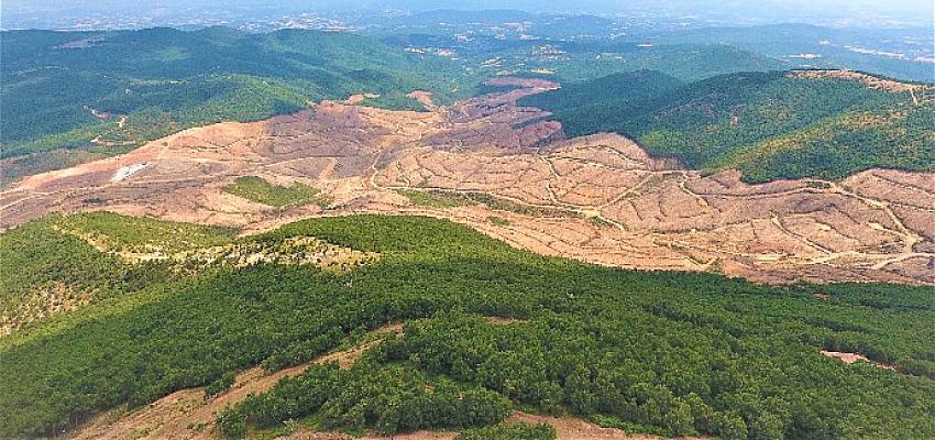 Kaz Dağları’ndan sevindirici haber: Ağı Dağı Maden Projesi ÇED Olumlu Kararı Geçerliliğini Yitirdi