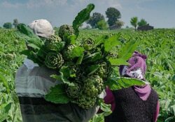 Migros, Gıda Perakende Sektörünün İlk “Entegre Sürdürülebilirlik Raporu”nu Yayınladı