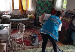 Muğla Büyükşehir Belediyesi  Kırsaldaki Çınarlarına sahip çıkıyor
