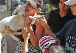 Savaş mağduru Ukraynalı çocuklar hayvanat bahçesini gezdi