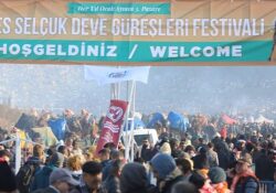 Efes Selçuk Deve Güreşleri Festivali On Binleri Pamucak'ta Buluşturdu