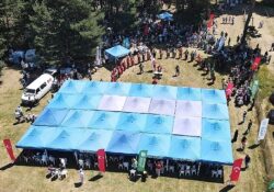 İznik Maviyemiş Festivali'ne yoğun ilgi