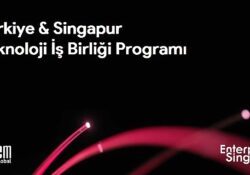Teknoloji odaklı şirketler, “Türkiye – Singapur Teknoloji İş Birliği Programı" ile globalleşme fırsatı yakalayacak