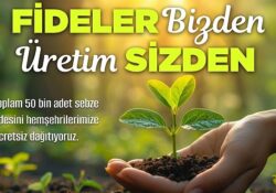 Nevşehir Belediyesi tarafından vatandaşlara çeşitli türde 50 bin sebze fidesi ücretsiz olarak dağıtılacak