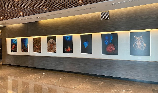 “Okyanusların Mirası” Sualtı Fotoğraf Sergisi Memorial Sanat Galerisi’nde