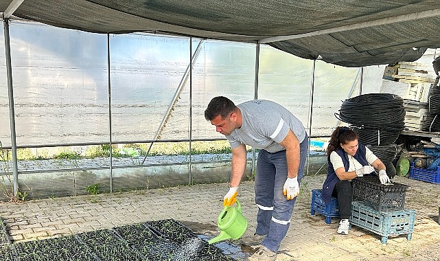 Seferihisar Belediyesi Tohum Takas Şenliği’ne hazırlanıyor